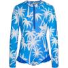 Blue Coconut Tree