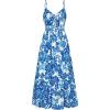 Blue White Flowers