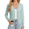 Mint Blue