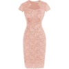 Coral Pink