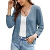 Light Gray Blue