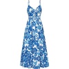 Blue White Flowers