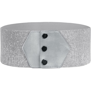 GRACE KARIN Women Wide Elastic Vintage Belt Corset Snap-Button Waistband(Silver)